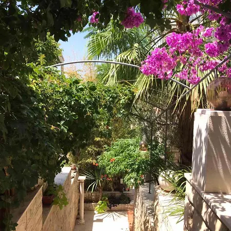 Tania חוואר
